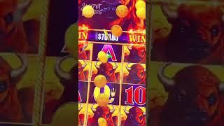 Buffalo take me HOME!!!  #casino #slots #vegas #money #win