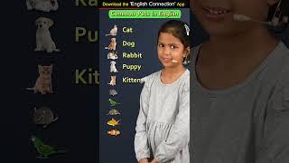 Common Pets's Name in English | Adi English Connection | Kanchan Vidya Connection #shorts