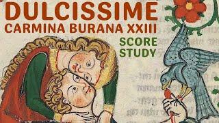 Carmina Burana XXIII: Dulcissime