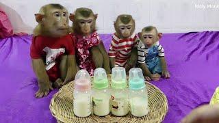 Obedient Dodo Mori Donal And Moly Sitting Wait Mom Mixed Milk