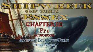 Chapter 3 Pt.1 Shipwreck of the Essex by Owen Chase Historical 1800s Whaling Story Audiobook Reading