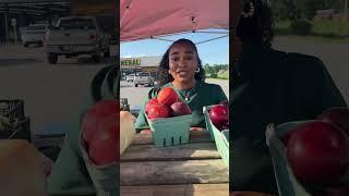 Local woman revives community spirit with weekly produce stand in Aurora
