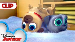 Cleanin' Pup! | Puppy Dog Pals | @disneyjr