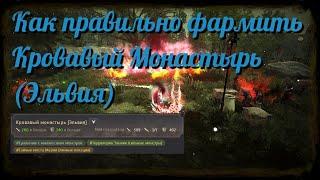 Black Desert / BD: Как правильно фармить Кровавый монастырь (Эльвия Серендия)