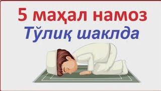 5 МАХАЛ НАМОЗ ЎҚИШ ТАРТИБИ. ҚАЗО НАМОЗЛАР ҚАНДАЙ ЎҚИЛАДИ? (ЭРКАКЛАР УЧУН) 2022 #НАМОЗ