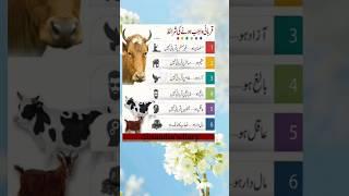 Qurbani Wajib Hone Ki Sharait | Urdu Quotes | Motivational Quotes |saadia'sdiary #trending #shorts