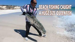 HUGE size Queenfish on Shimano Stradic and M&W Posaidon Rod | Suffix Ghost