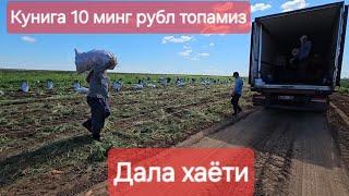 Волгоград поля хаёти #xorazm #toshkent #namangan #волгоград #buxoro #musofir #qarshi #navoi