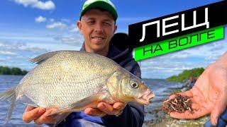 ЛОВЛЯ ЛЕЩА НА ФИДЕР / РЫБАЛКА НА ВОЛГЕ / FROS FISHING