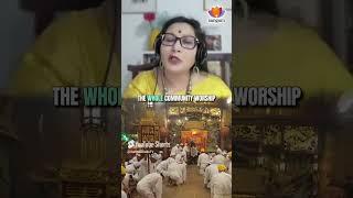 Phuket's Vegetarian Festival & Nine Emperor Gods | Anita Bose | #sangamtalks