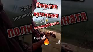 Наша дача#shorts#теплица#как #огород#пластиковые#greenhouse#garden#plastic_pers#how#greenhouse