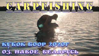 Ежегодный турнир по ловле карпа на призы БООР. Оз. "НАВОЕ", сентябрь 2020г