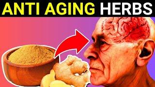 12 Best ANTI-AGING Herbs That Helps Protect The Brain & Memory Loss