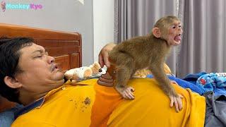Monkey Kyo Pees on Her Dad – You Won’t Believe What She Does Next!