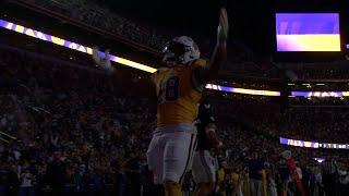 Tiger Resurgence: LSU bounces back after a three-game losing streak