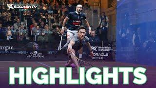 "FABULOUS" ‍ Rodriguez v ElShorbagy | J.P. Morgan Tournament of Champions 2023 | RD2 HIGHLIGHTS!