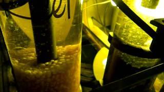 NP reducing BioPellets