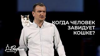 Когда человек завидует кошке? | Александр Савчук