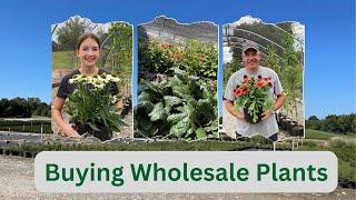 Buying Wholesale Plants - Quick money in the Nursery