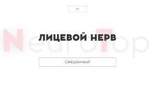Черепные нервы. Лицевой нерв Vll