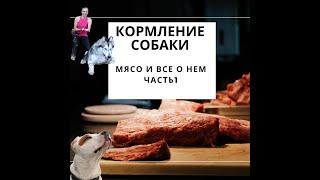 кормление собаки  Мясо в рационе сколько давать какое часть 1