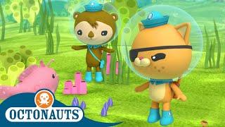 Octonauts - The Artificial Reef | Cartoons for Kids | Underwater Sea Education