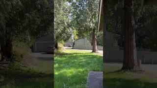 Anyone know what kind of bird makes this noise?