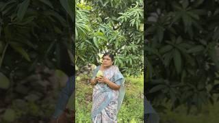 Ennalla ellam mudiyum #bollywood #music #entertainment #song #spotify #comedy #yeli #funny