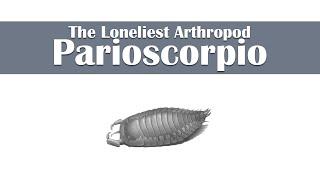 The Loneliest Arthropod- Parioscorpio