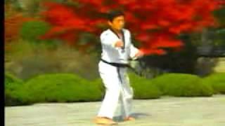 8. Taekwondo Poomsae Taegeuk Pal Jang (WTF)