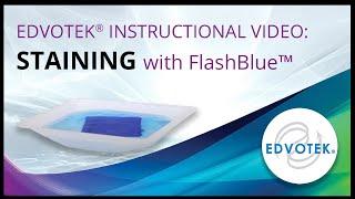 FlashBlue™ - Edvotek Video Tutorial