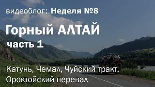 Горный Алтай на Газель 4х4. Часть 1: Катунь, Чемал, Чуйский тракт, Ороктойский перевал / Неделя 8