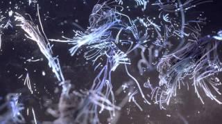 Entering The Stronghold   Audio Visual Animation tools 3ds Max + particle flow + box#3