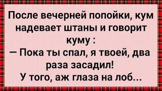 Когда Муж Уснул, Жена Легла Под Кума! Сборник Свежих Анекдотов! Юмор!