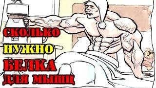 СКОЛЬКО НУЖНО БЕЛКА  для роста мышц?