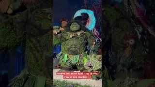 Brand new Moana and Maui Topiary at Disney’s Flower and Garden Festival #disney