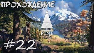 Pine  #22  Множество дорог