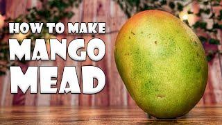 How to Make Mango Mead | Fruit + Honey + Yeast