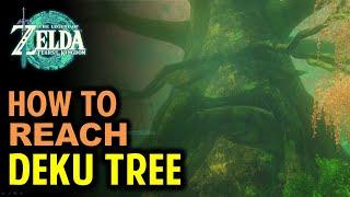 How to Reach Deku Tree in Korok Forest | Zelda Tears of the Kingdom