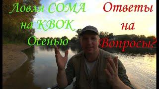 Ловля сома на квок осенью! Ответы на вопросы . #fishing #сомнаквок #квок #сом #catfish