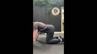 Quadruped Pelvic Tilts #physiotherapy #mobility #sports #chiropractor #chiropractic #lowbackpain