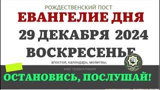 29 ДЕКАБРЯ ВОСКРЕСЕНЬЕ ЕВАНГЕЛИЕ АПОСТОЛ ДНЯ ЦЕРКОВНЫЙ КАЛЕНДАРЬ 2024 #евангелие