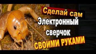 Как сделать - пищалки сверчки своими руками / Электронные самоделки / Sekretmastera