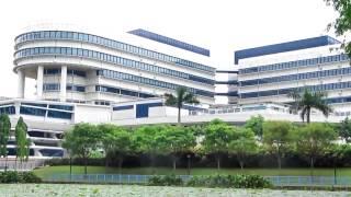World Medical Council