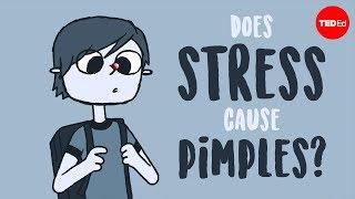 Does stress cause pimples? - Claudia Aguirre