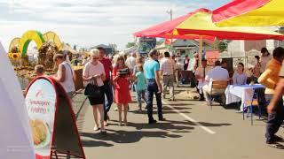 Областные "Дожинки- 2017", Давид  Городок. 02.09.2017г.