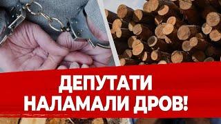  СКАНДАЛЬНИЙ закон! Українців ШТРАФУВАТИМУТЬ за ДРОВА та ПОЗБАВЛЯЬТМУТЬ ВОЛІ на 7 РОКІВ!