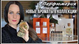 КАКОЙ ПАРФЮМ Я ВЫБРАЛА ПО ПРОБНИКАМ? НОВЫЕ АРОМАТЫ В КОЛЛЕКЦИИ!