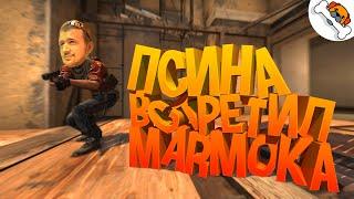 #4 CS:GO - ВСТРЕТИЛ МАРМОКА