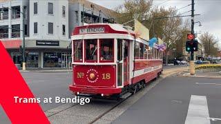 Trams at Bendigo